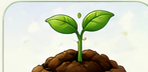Plantas